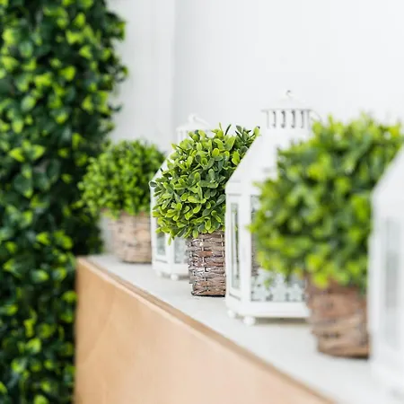 Apartment Guestready - Modern Cosy With A Terrace *