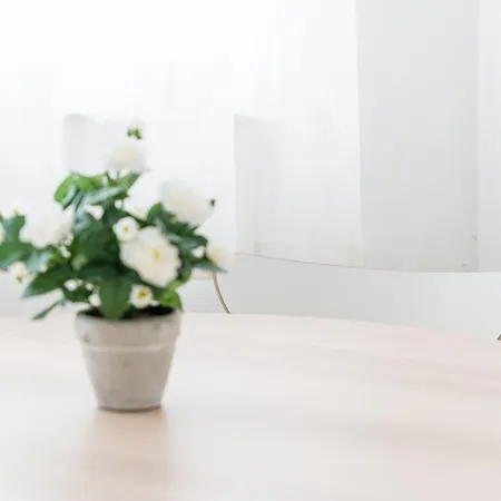 Guestready - Modern Cosy With A Terrace Appartamento Oporto